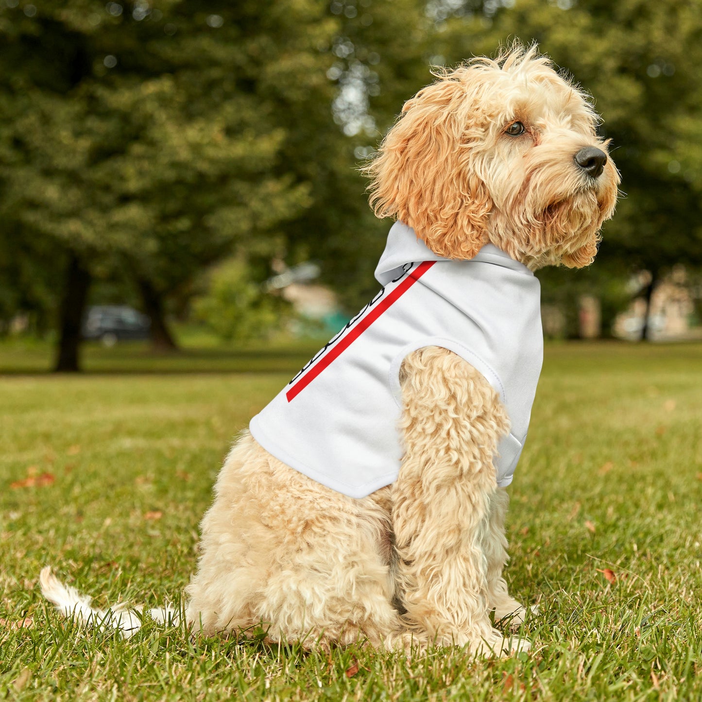 Trudeau Must Go Dog Hoodie