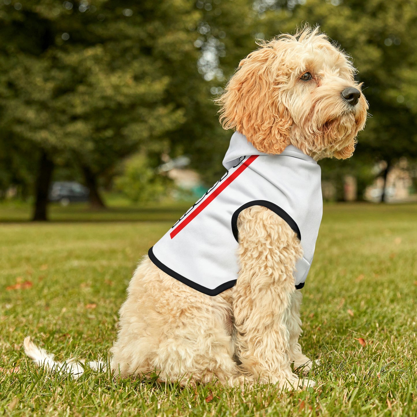 Trudeau Must Go Dog Hoodie