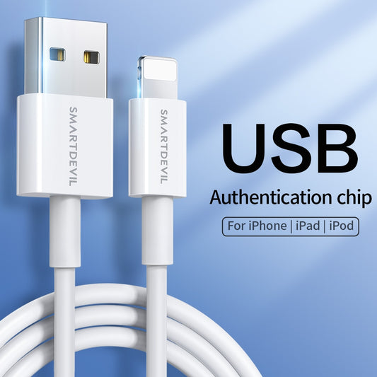 Lightning to USB Cable