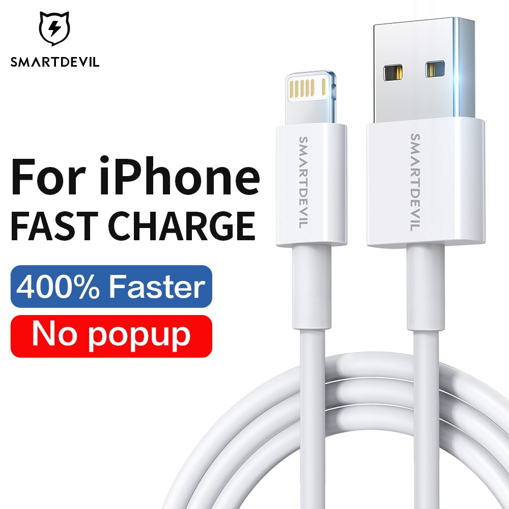 Lightning to USB Cable