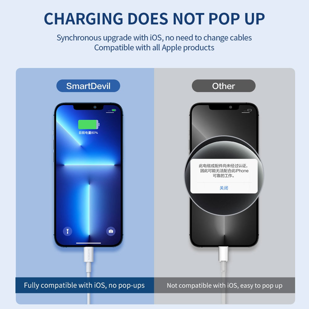 Lightning to USB Cable